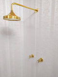 Unlacquered Brass Shower System with Dome Round Shower Head