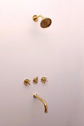 Unlacquered Brass Shower System with Tub Filler and Round Shower Head