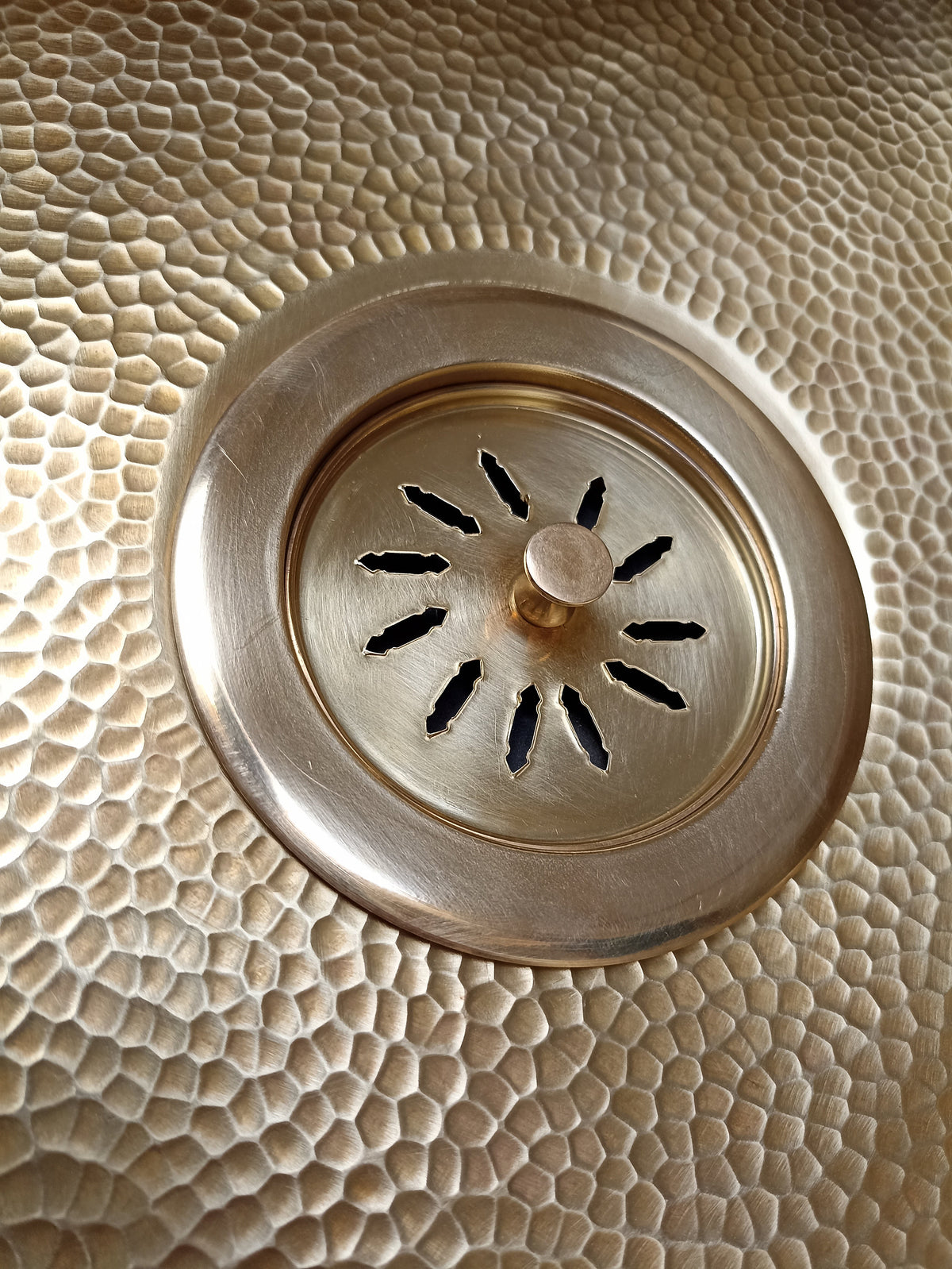 Waste Disposer