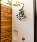 Unlacquered Brass Shower Head with Arm & Lever Valve
