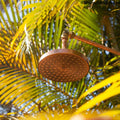 Unlacquered Solid Copper Rain Shower Head - Outdoor Shower