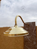 Unlacquered Brass Shower Head, Solid Brass Rainfall Shower Head with Extension Arm, Brass Shower Fixture, Indoor & Outdo