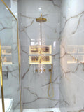 Unlacquered Brass Shower System, Vintage Shower Set With Brass Shower Head, brass shower caddy
