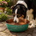 Luxury Hammered Copper Dog Bowl - Moroccan Copper Dog Water Bowl – Verdigris Patina Pet Bowl – Rustic Outdoor Water Dish