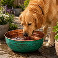 Moroccan Copper Dog Water Bowl – Verdigris Patina Pet Bowl – Luxury Hammered Copper Dog Bowl – Rustic Outdoor Water Dish