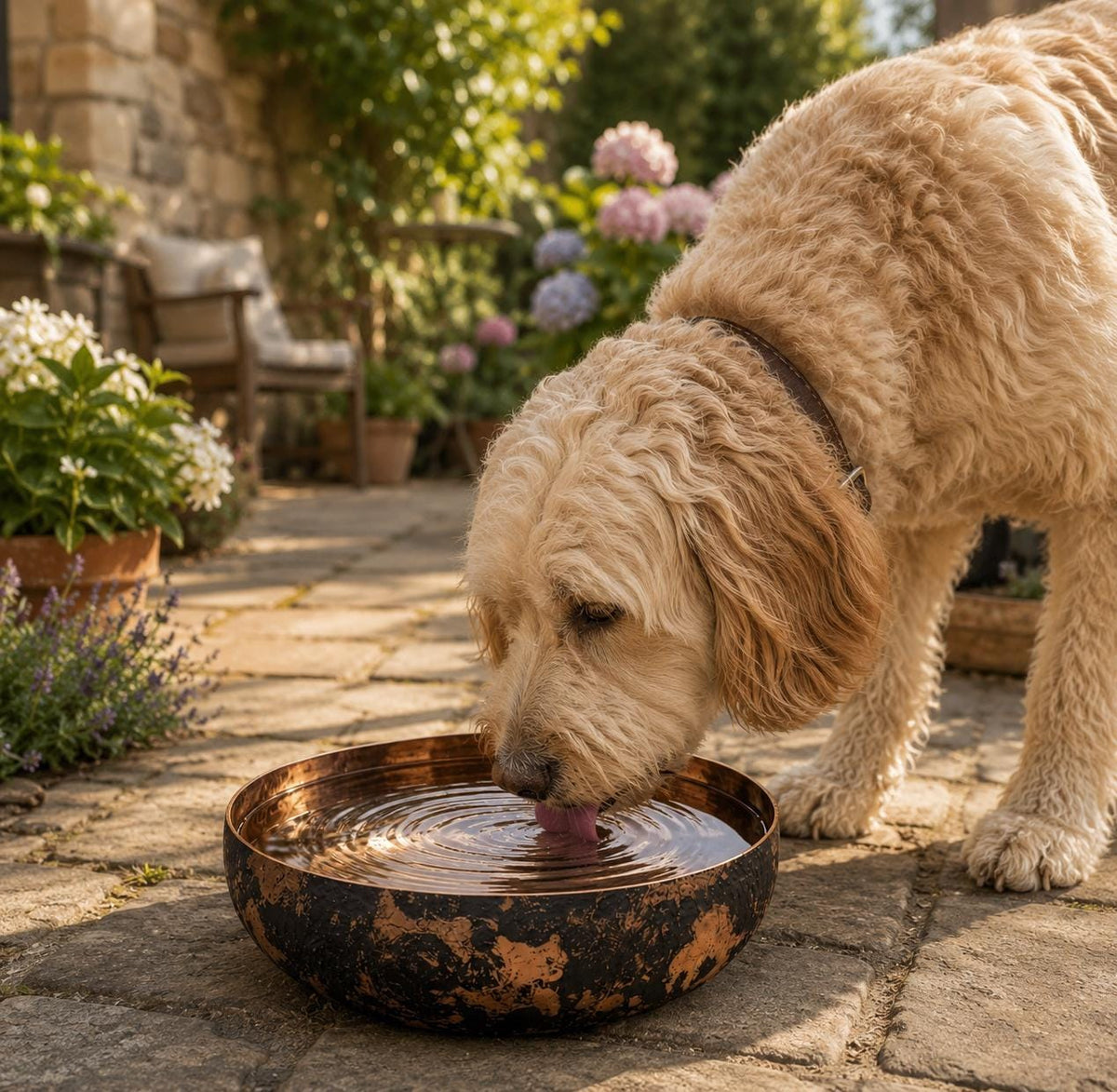 Moroccan Copper Bird Bath & Dog Water Bowl, Rustic Outdoor Garden Bowl, Pet Water Dish, Backyard Garden Decor