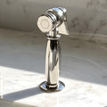 Polished Nickel Kitchen Side Sprayer